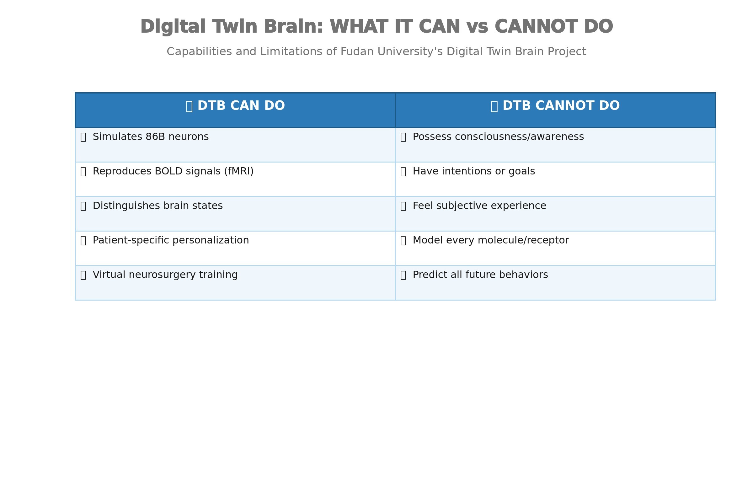 Digital twin brain what it can and can not do